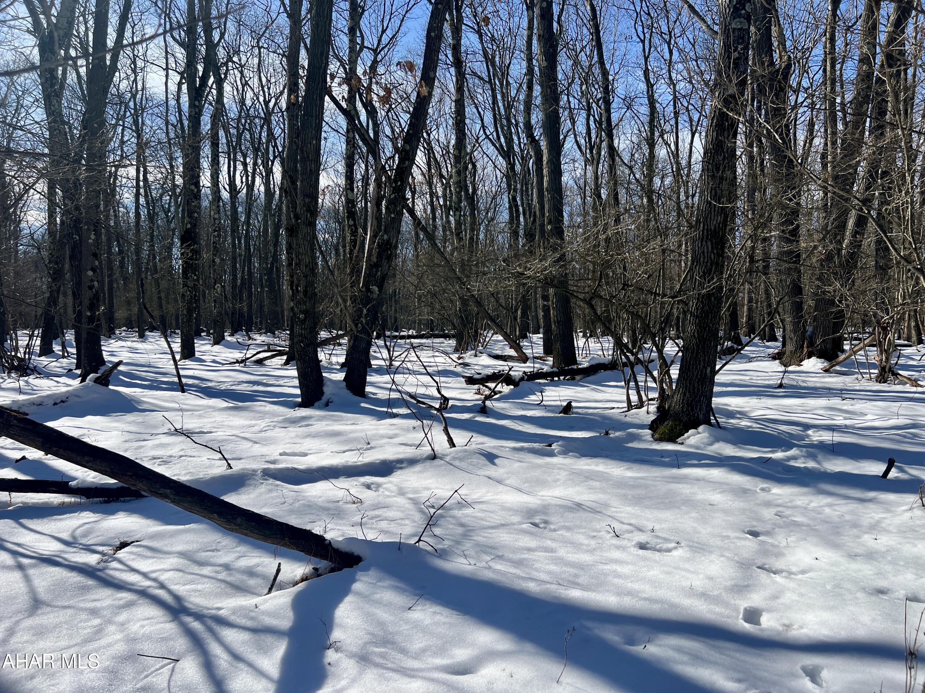 Folmont - Commercial Sale