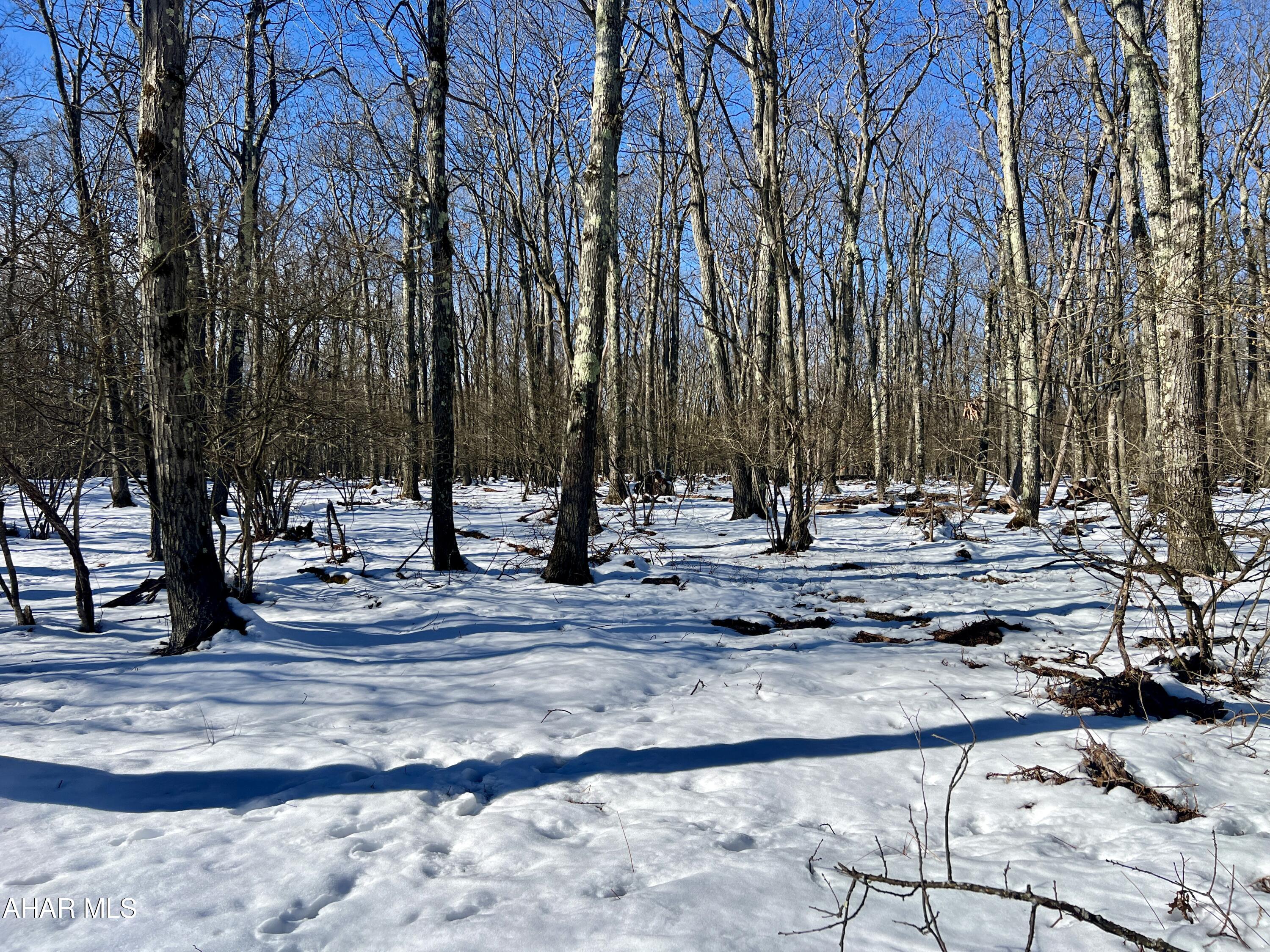 Folmont - Commercial Sale