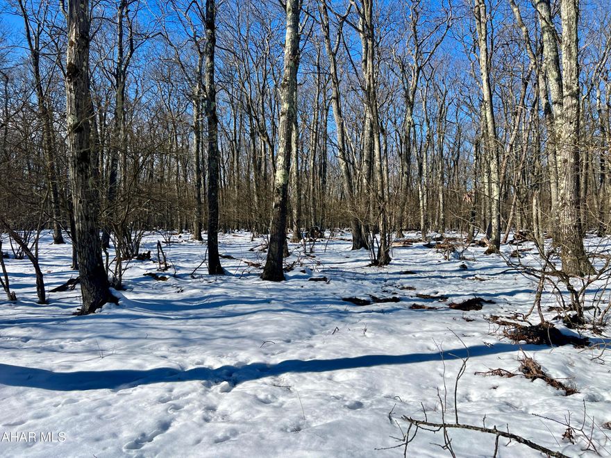 Nice wooded level 5.5+/- acre lot to build your dream home or weekend getaway on. Property was perc approved in 2020. Located near State Game lands, Shawnee State Park, Indian Lake, and much more!