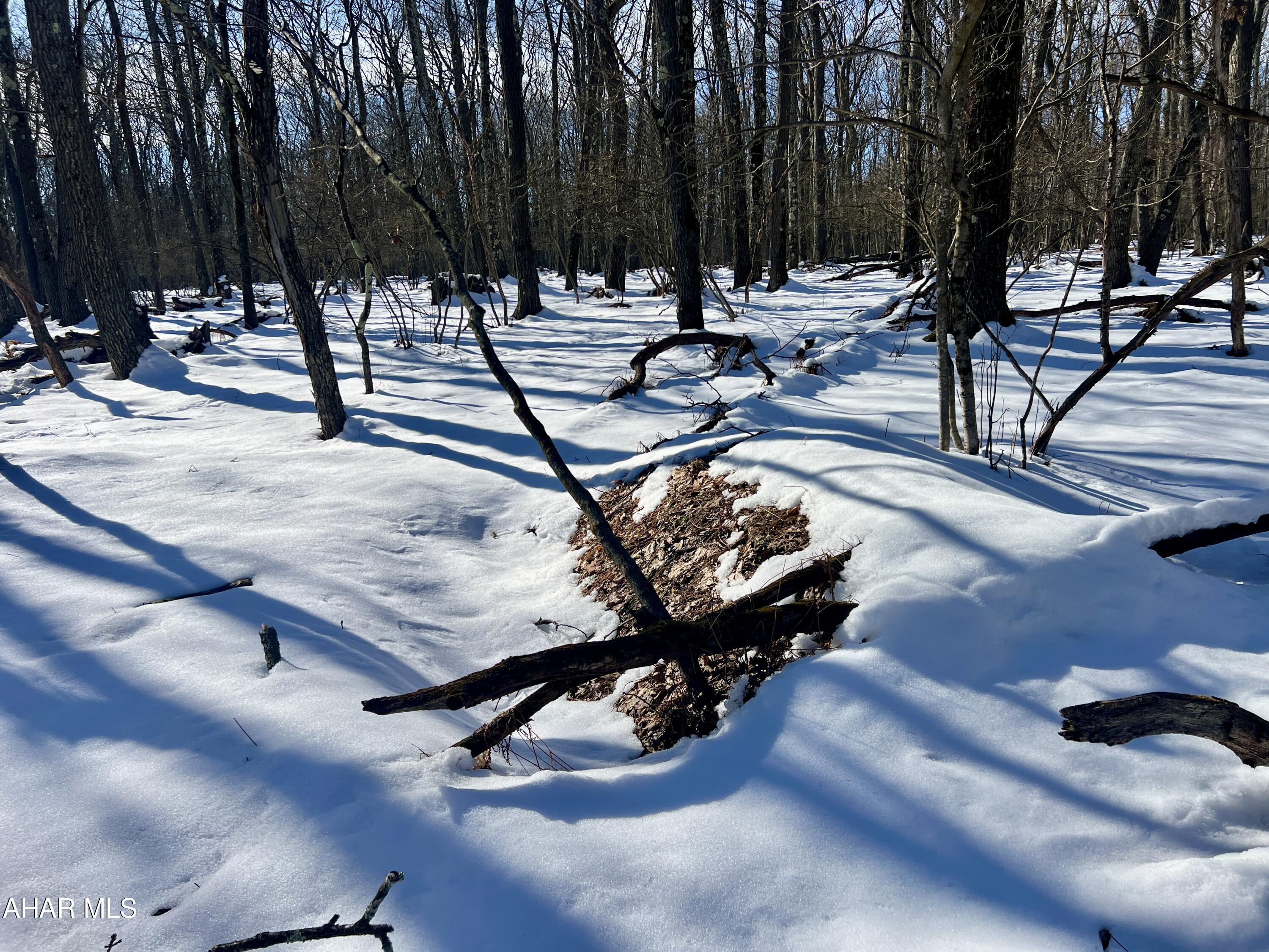 Folmont - Commercial Sale