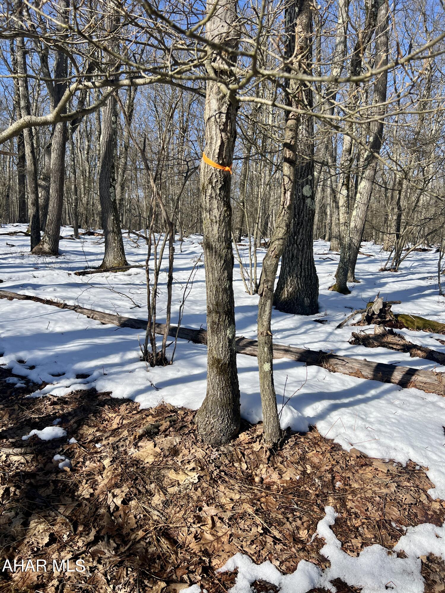 Folmont - Commercial Sale