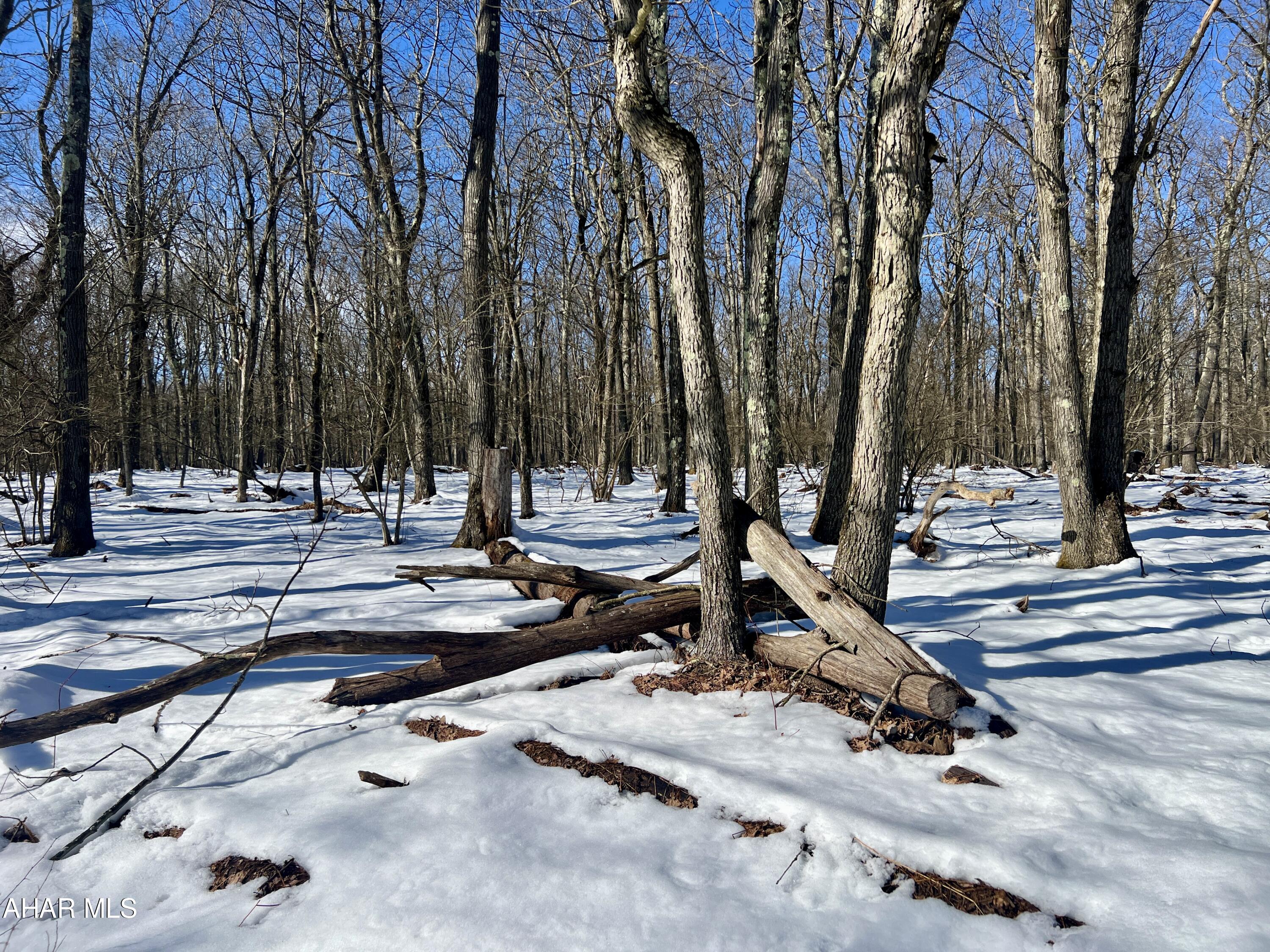 Folmont - Commercial Sale