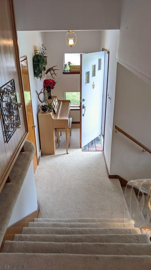 Calvert Hills - Residential