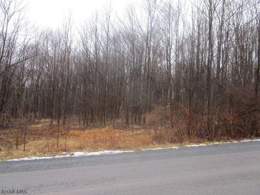 Wooded acreage with frontage on 2 streets in Gallitzin Township. Great home site or possible subdivision. Public water and sewer is on Pershing Street bordering site. Oil/gas rights reserved.