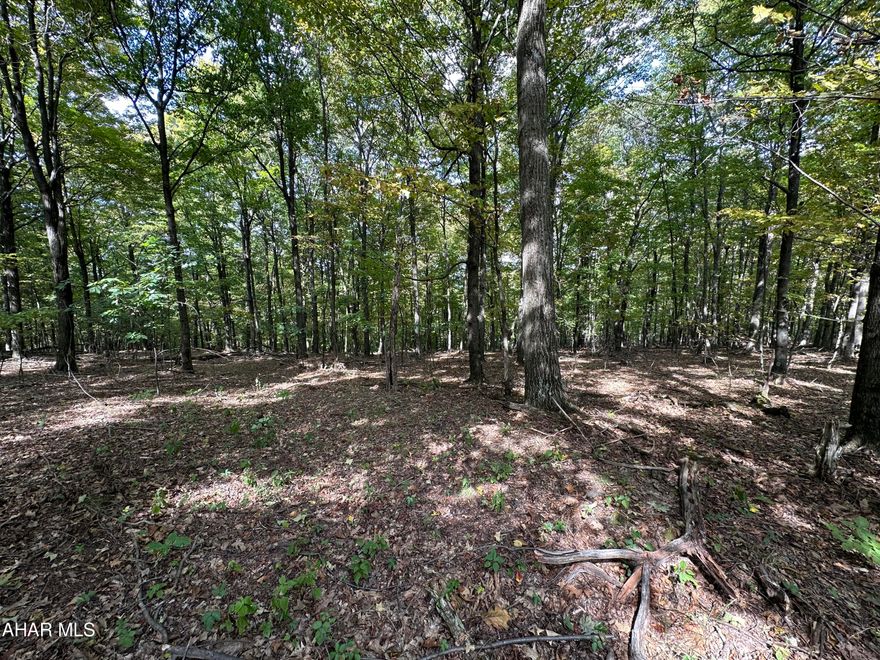 The second largest lot available at 35.18 acres, this fully wooded lot has a wonderful building site, perc approved, and easy access.  Underground electric available to tie into.  Gravel road access, minimal deed restrictions.  Perfect for a dream home, recreational retreat, hunting and more.  An abundance of deer and turkey regularly seen on this lot. Mins from Shawnee State Park, Omni Bedford Springs and much more.
