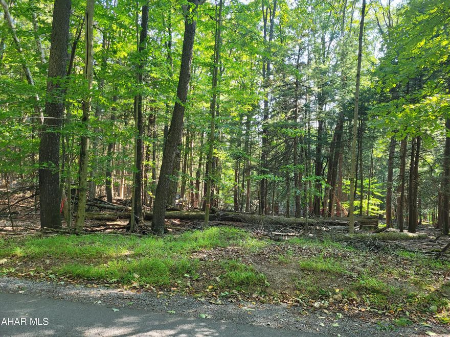 Wonderful location to build your full time home or getaway cabin in the woods.  Over an acre allows you privacy.