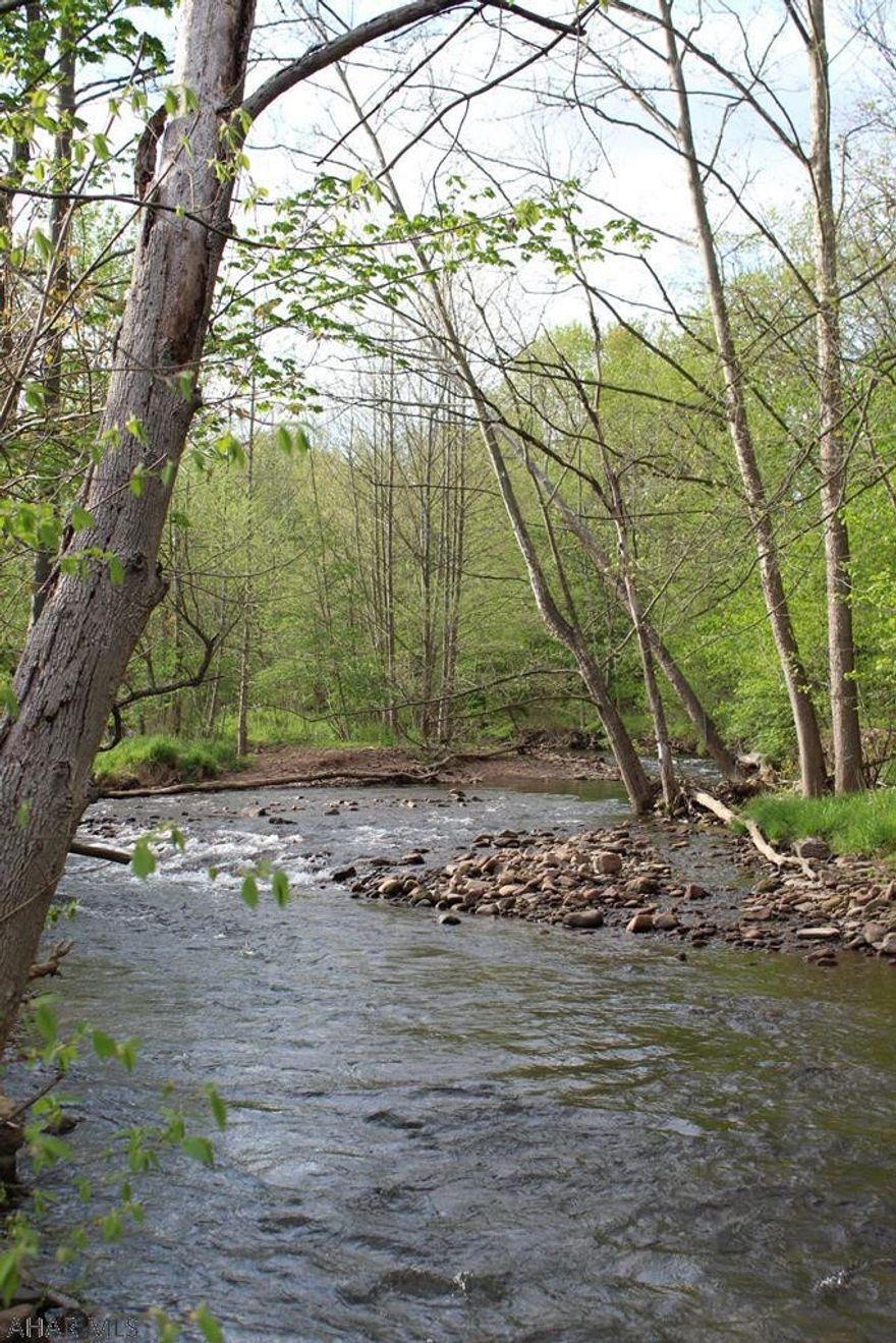 Sportsman's dream!  Ideal hunting and fishing. Land on both sides of Bob's Creek, a Native Trout Stream. Beautiful property for camping, recreational cabin, or build your dream home! Located 10  minutes from Blue Knob State Park and Ski Resort, enjoy skiing, golfing, and dining. 30 minutes from Shawnee Lake and Historic Downtown Bedford.  45 minutes from Raystown Lake.  Convenient to I99