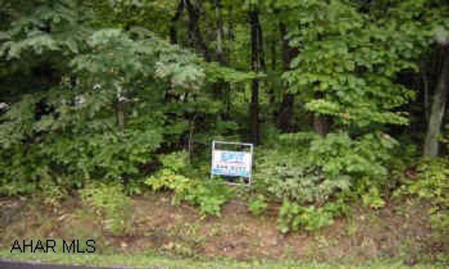 Large building lot, wooded, .43 ac., lot size 75x250. Large lot for building a home. Slightly sloped, wooded, and private. Sewer to lot edge in Lakemont.  Taxes to be determined.