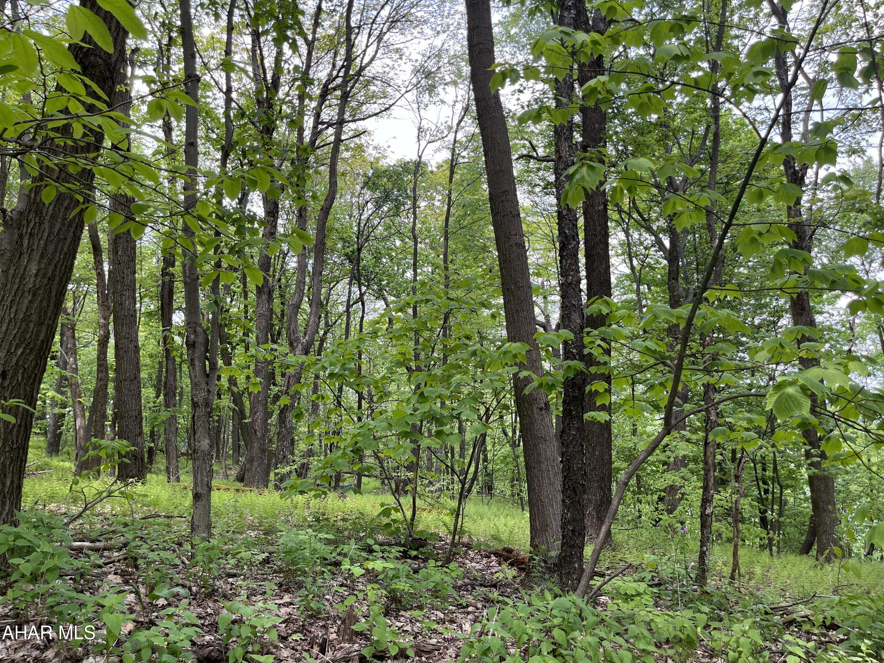 Blue Knob - Commercial Sale