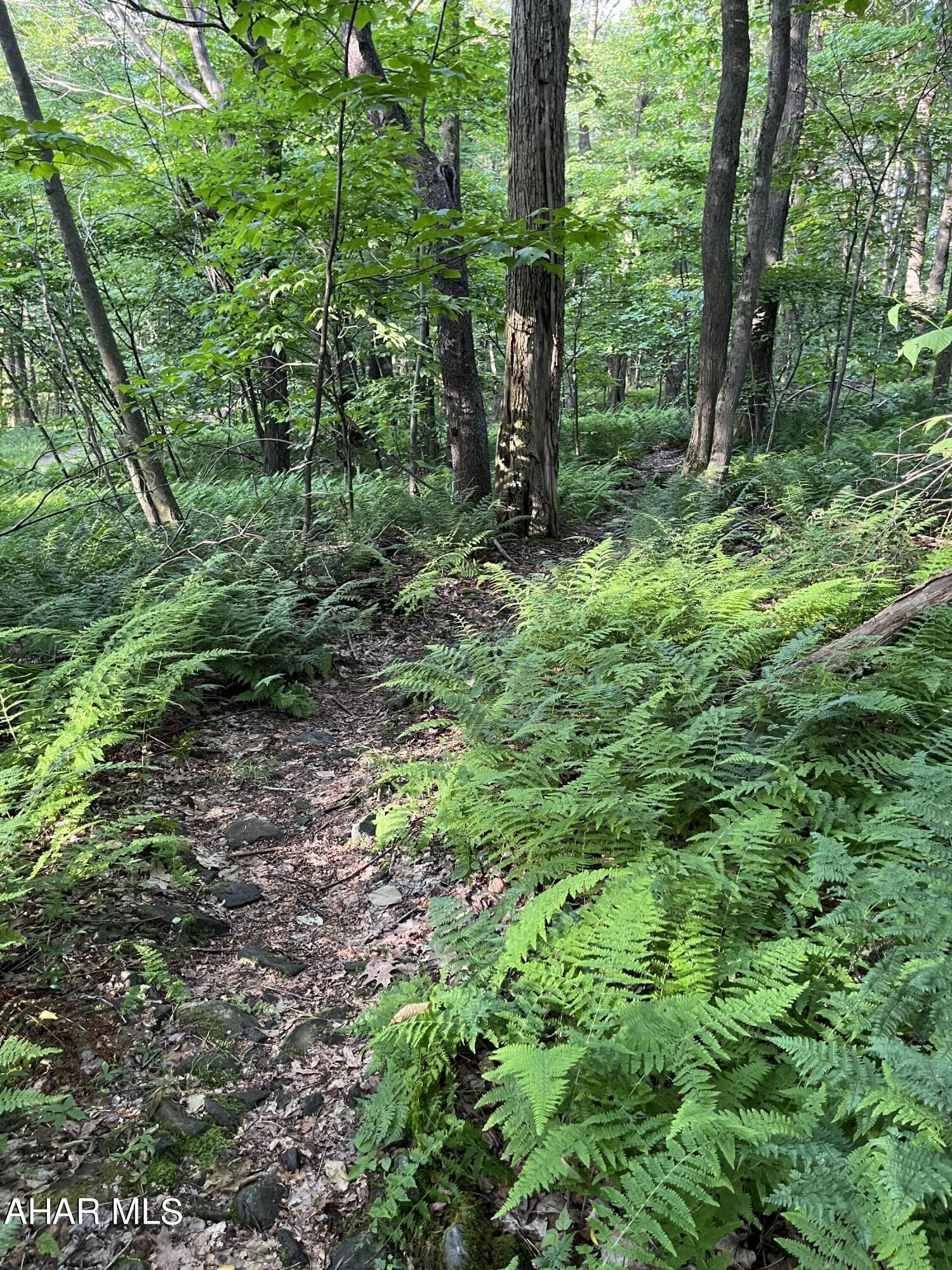 Blue Knob - Commercial Sale