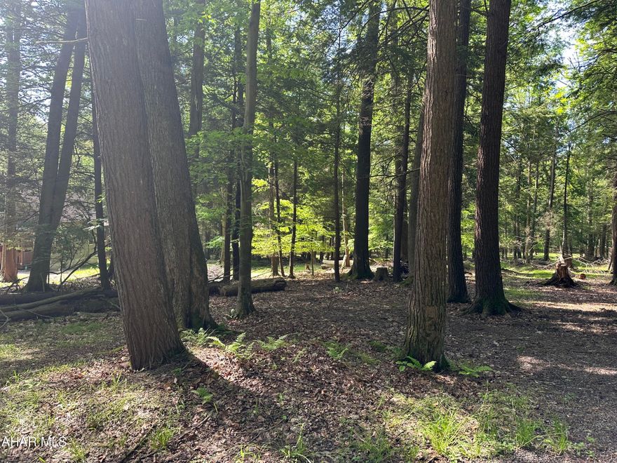 Wooded building lot in Glendale Yearound, a gated community with many amenities.  Prince Galltizin State Park and State Gamelands are nearby. Association Dues $606.78/ year,