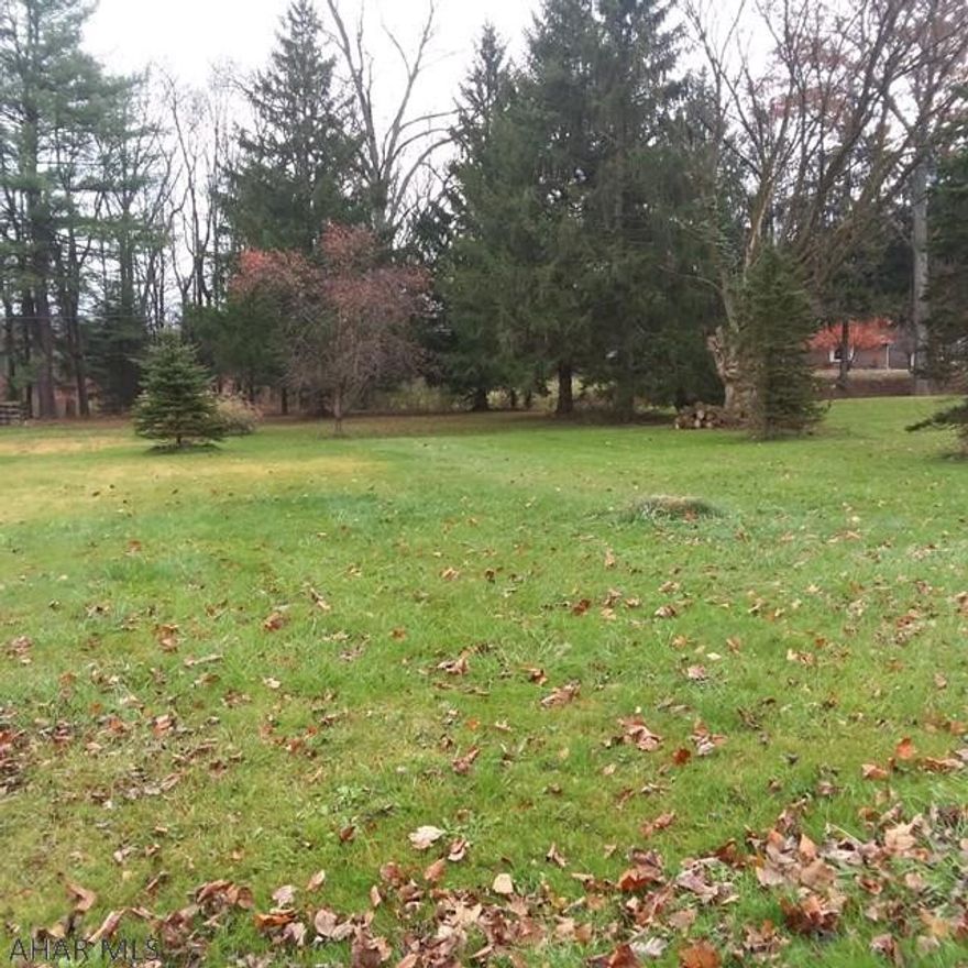Beautiful lot in Antis Township.  Choice of water service: on-site well or municipal water (Bellemeade Civic Association).  Municipal sewer (Northern Blair Sewer Authority) available.  Agent is owner.  NOT located in flood zone.