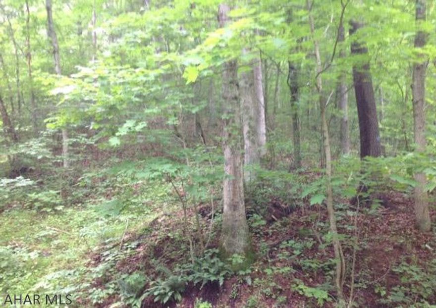 Beautiful spot for a log home or or just a home. Great view of mountains. private drive and preapproved for septic.