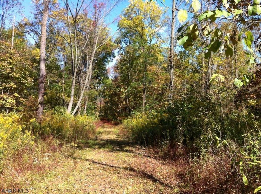 Lovely building site in Snake Spring Valley consisting of 12.94 mostly wooded acres. This property offers beautiful views of the Mountains and Countryside and would make a great place to build your forever home. Property has been perc approved and has electric cable to property.