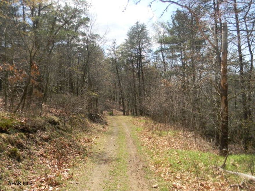 25+ beautiful acres of wooded recreational land with spring and small pond. Secluded location.