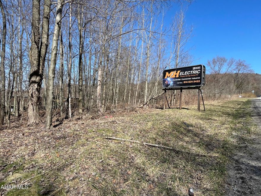 Looking for a lot in Penn Cambria School District with public water and public sewer available? Look no further!!!  This 1.158 acre lot sits on Route 53 and is diagonal from the Bear Rock Sportsman's Club.  A highly visible lot with traffic and a billboard income that covers taxes.  Call with any additional questions that you may have!