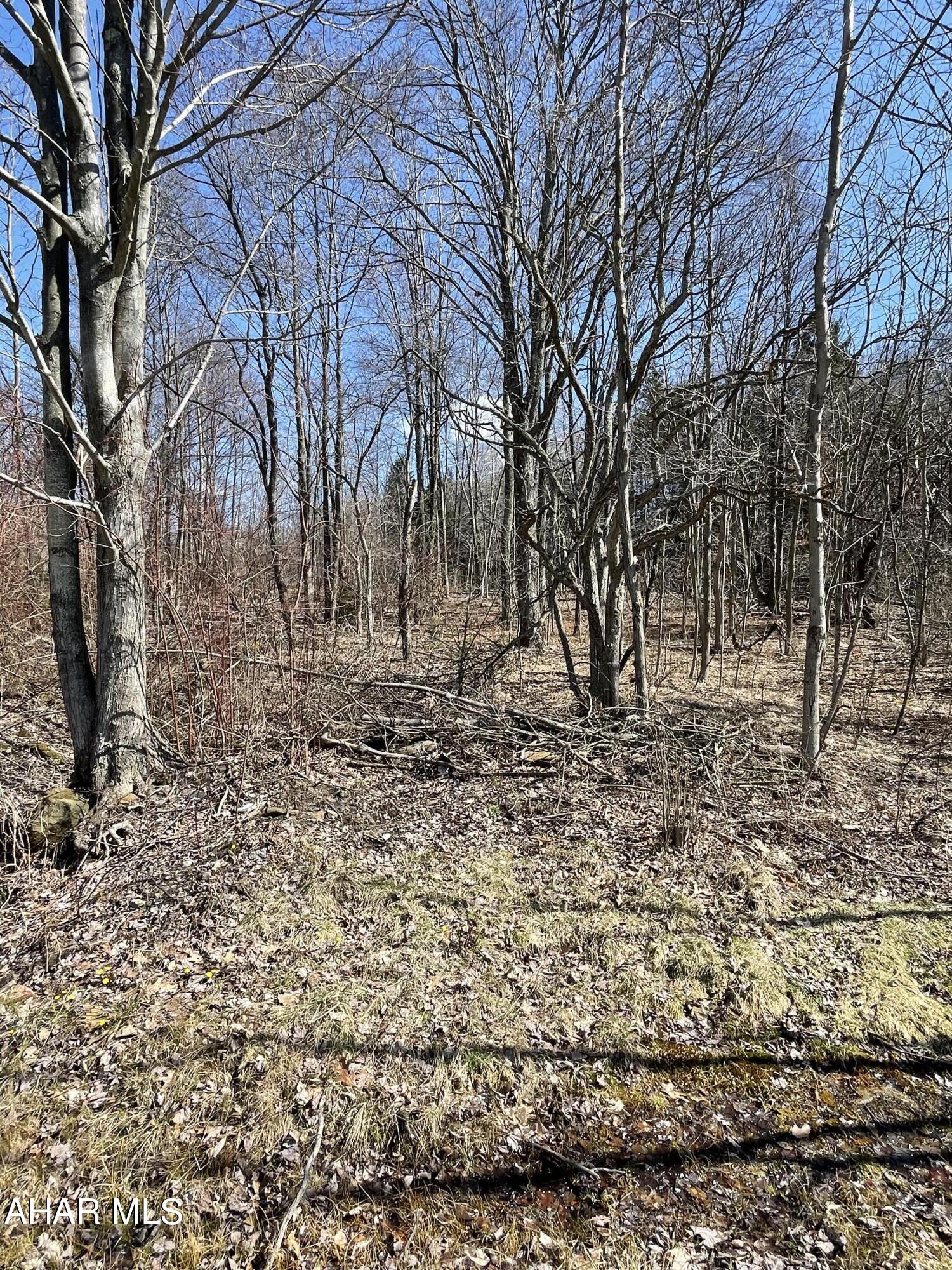 None - Commercial Sale