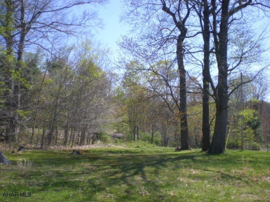 Wooded property with mobile home used as hunting camp and two story house used as rental. 2 gas wells on property and the gas rights are included. Some timber value. Great hunting property. Frontage on Rt 36.