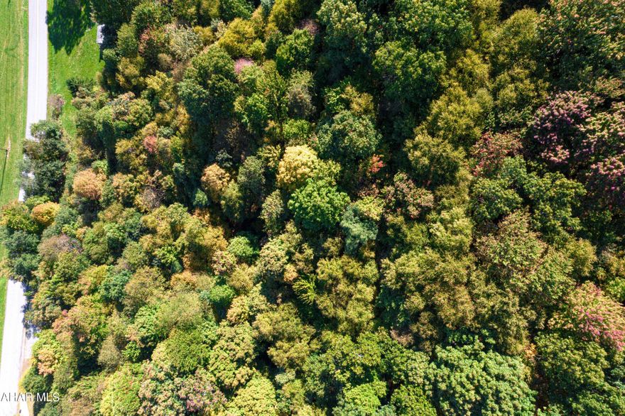 Behold the stunning vistas! Are you prepared to claim this land as your own? Nestled in Bedford County, this is the ideal location to construct your dream home. This wooded property awaits your personal touch, with no current improvements. Situated in Bedford Township, it's just a stone's throw away from local attractions, including Bedford Springs. Seize this chance without delay!