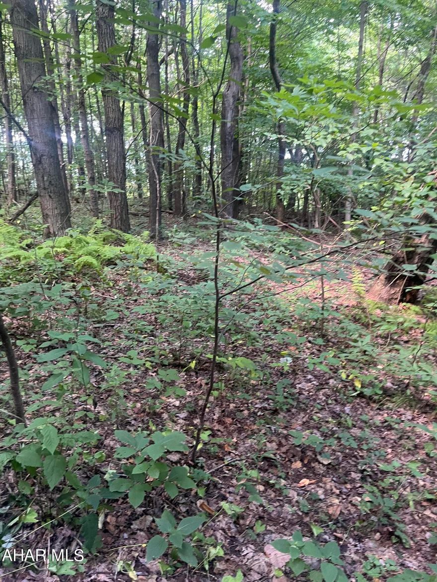 This 11+ acres is a great spot to build or subdivide. Offers a nice clearing to build and also wooded ground to pick your favorite spot. Public utilities are available on Bedford St and to homes located in front of this parcel.