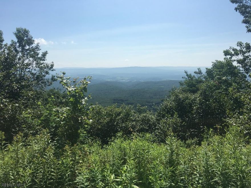 Sit high on the mountain top! Views, views, and more views! All timber, oil and mineral rights convey. Approx 1 mile frontage cresting the mountain. Perked. Close to all amenities, state parks and game lands.