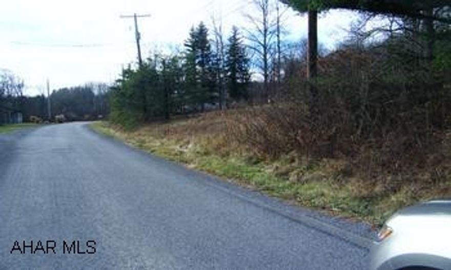 150x200 site. Slopes up from the road. Has the right to tap onto the sewer system for $2,500 included with the sales price. Sign on property. Owner will consider financing a portion of the sales price.