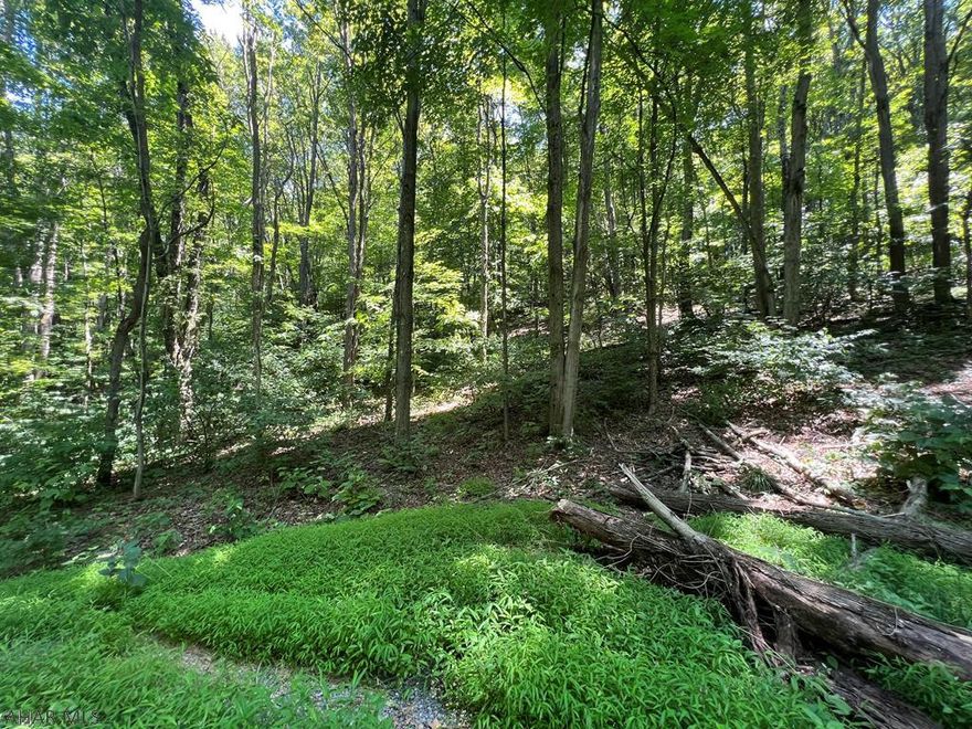 Welcome to the most beautiful 4 acres that can be used for hunting, camping, or other recreational activities.  Ground did not perc in April of 2018. Secluded and private site only minutes to everything. 3.04 acres are wooded.