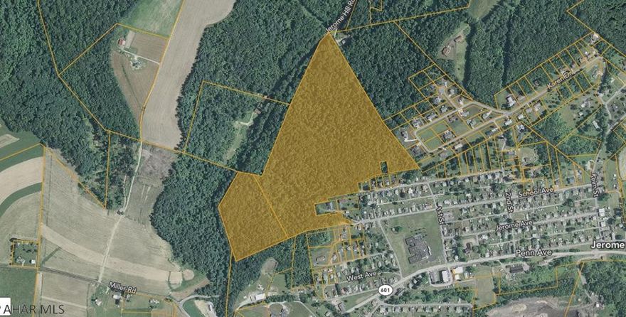 Selling ground as unimproved wooded vacant land.  Water, sewer and electric in street at Conemaugh Ave. Buyer or buyer's agent to confirm taxes, acreage, school district, zoning & availability of utilities  The property consists of two adjoining parcels. Tax ID#  12-009-010-00 Conemaugh TWP,  Tax ID# 21-006-001-00 Jenner TWP  totaling 51.66 deeded acres. Will not subdivide. Portion of land in Jenner TWP is in North Star School Dist. No Zoning. Portion in Conemaugh TWP is in Conemaugh TWP Area School Dist.is zoned residential.  Property was surveyed approx 3 yrs ago blue paint and pink ribbon used to mark boundary. Seller is contacting some adjoining property owners to have an abandoned vehicle and metal removed from the property. One owner is a licensed real estate broker in PA.