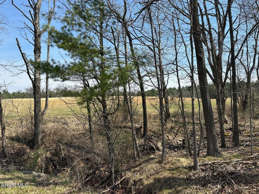 14.35 acres of an open, level, field with a great view of the Mountains. Perfect for a new build, your recreational pleasure, a travel trailer and much more.  Semi private and semi secluded. The property is enrolled in the Clean and Green program.  The property perk 3 sites with the previous owner shown on survey.  10.64 acres of open field and 3.71 wooded.