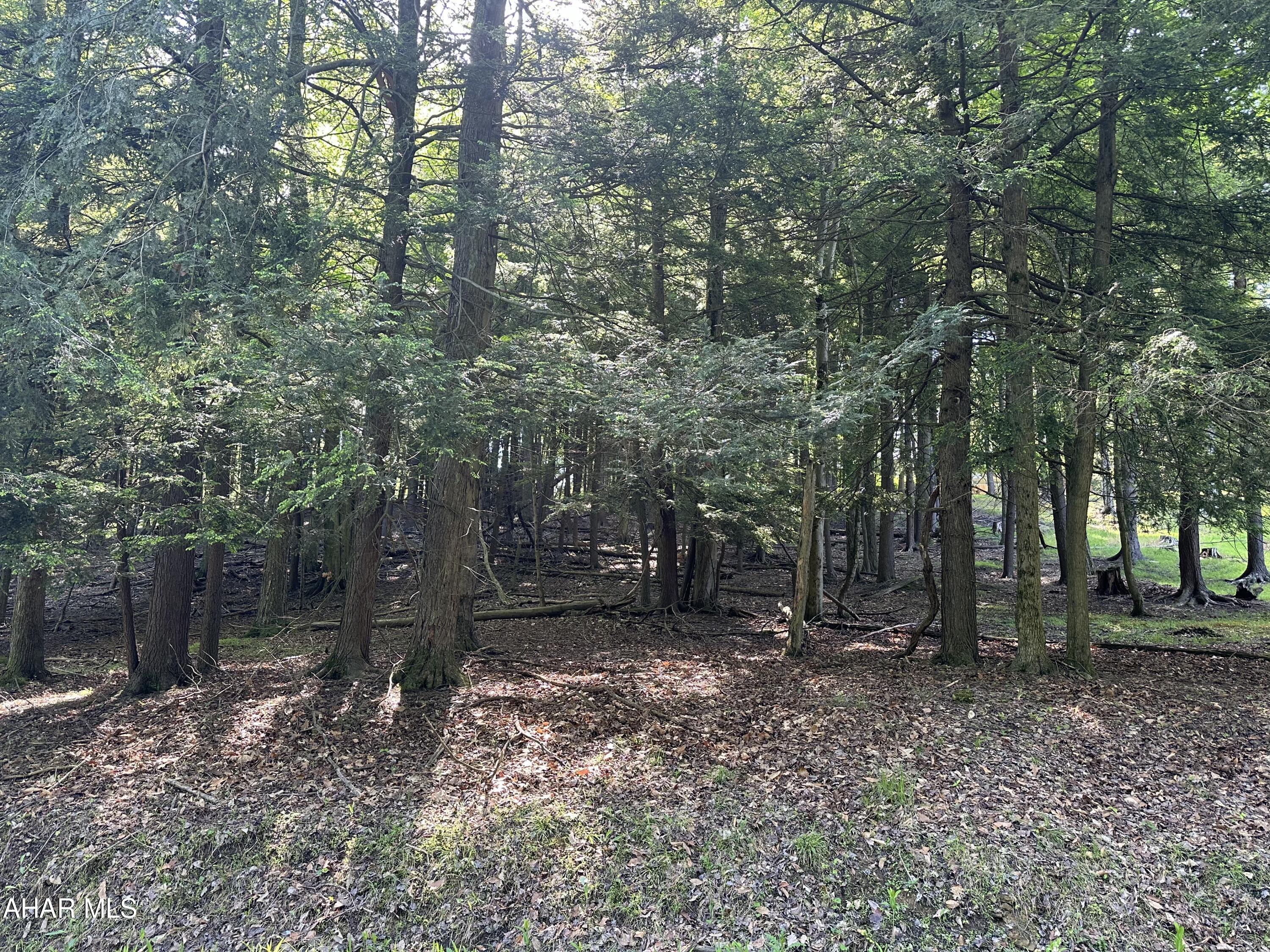 Glendale Yearound - Commercial Sale