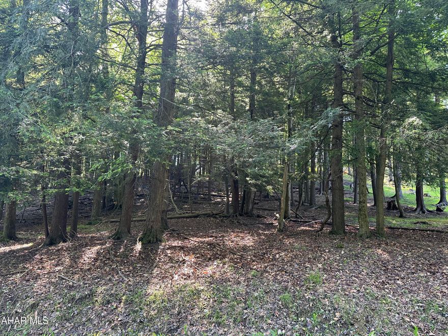 Wooded 1  building lot acre lot on Grand Trunk Road in Glendale Yearound- a gated community with many amenities!  Prince Gallitzin State Park nearby. Association Fees $606.78/year +/-