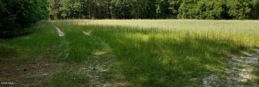 Currently zoned agricultural but could be residential redevelopment.