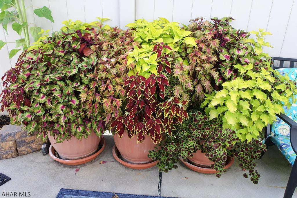 Garden Heights - Residential