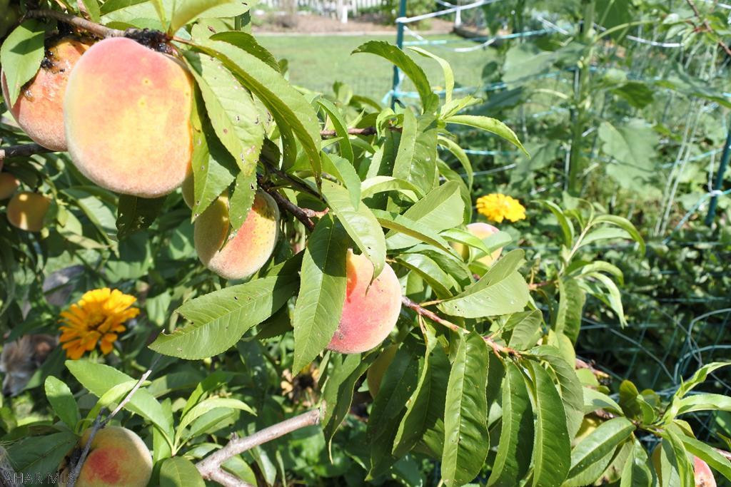 Garden Heights - Residential