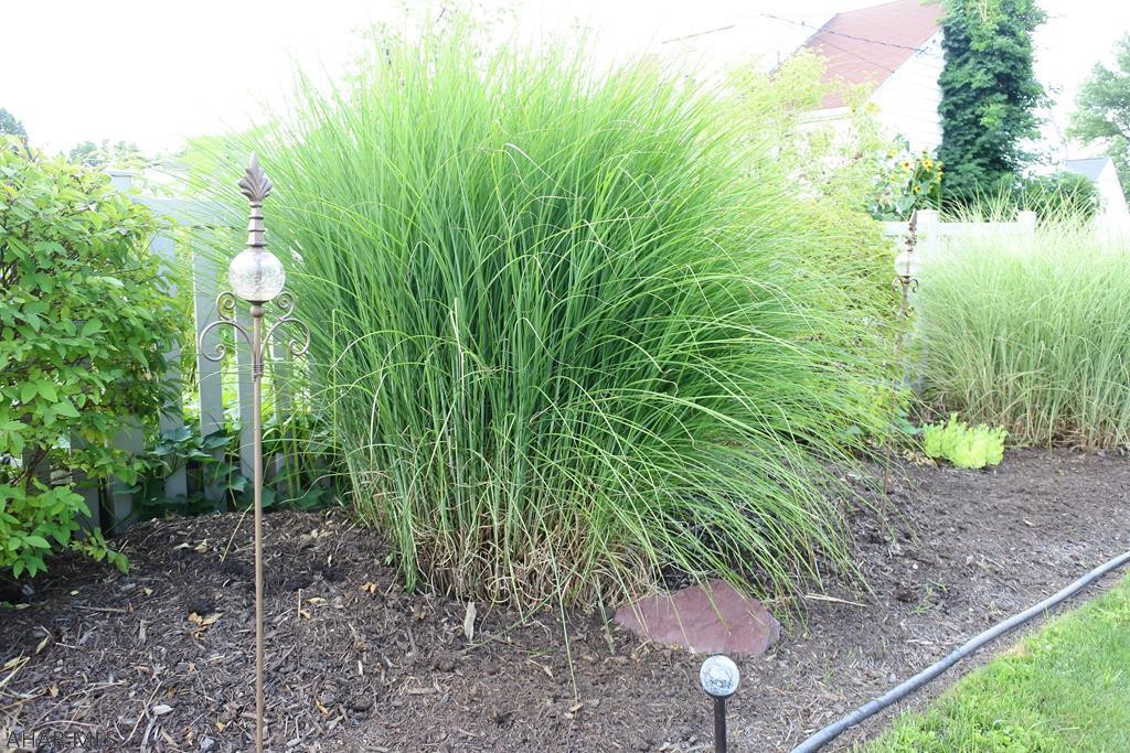 Garden Heights - Residential