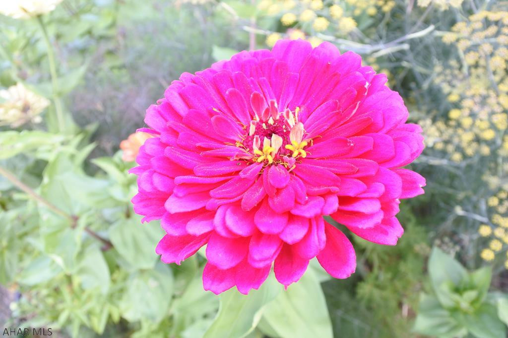 Garden Heights - Residential