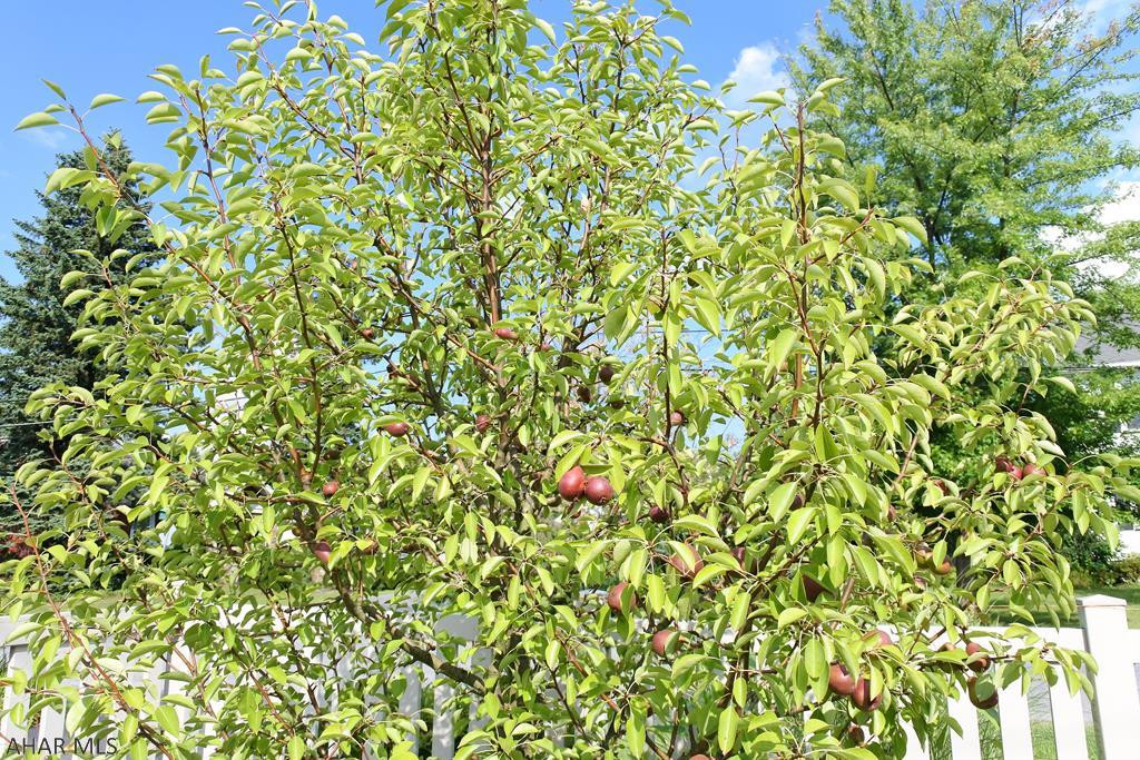 Garden Heights - Residential