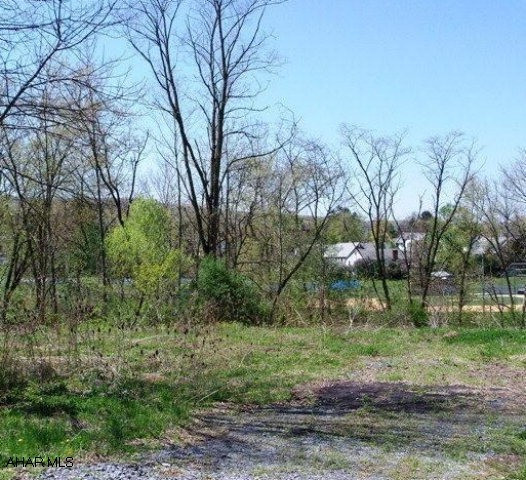 Church Hill Manor - Land