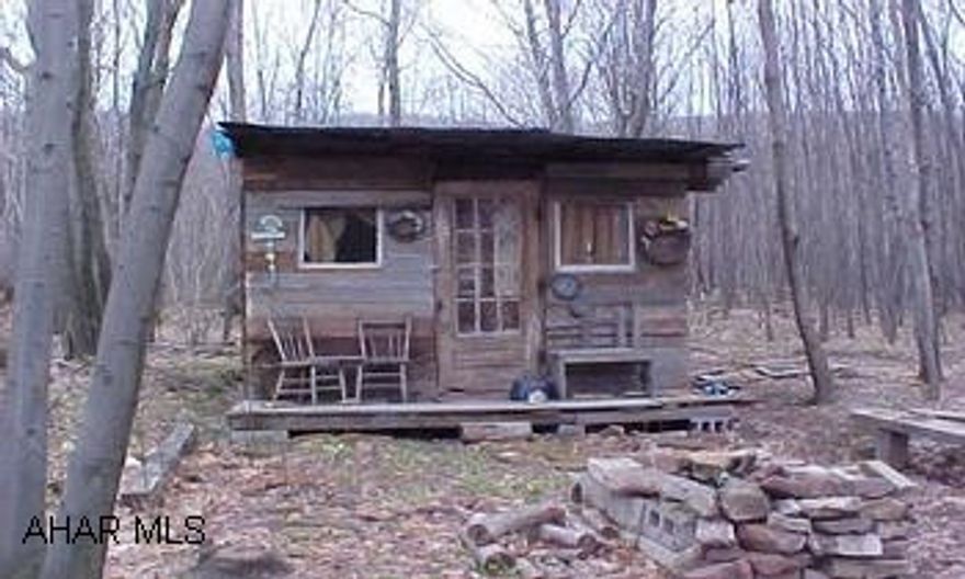 Route 56 west to red light in Pleasantville.  Make a right at the light.  Follow to stop sign & make a left onto Lovely Road.  Follow to "Y' in the road & bear left onto Spruce Hollow Road.  Follow for 2.5 miles to land on the left.  This parcel contains approx. 4.78 acres.  It has been perk tested and recently surveyed.  Land is located very close to Gallitzen State Forest.  There is an old mobile home on the property that can be removed or stay for recreation use.