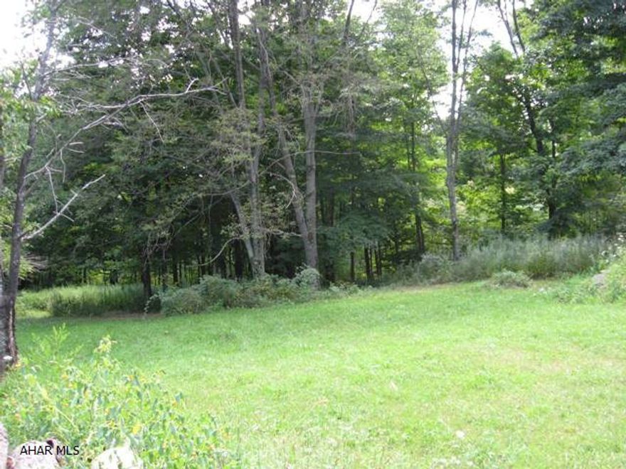 9.074 acres of mountain ground with lots of road frontage for easy access.  This wooded parcel has been previously perc tested, has a metal garage and a seasonal stream.  Motivated sellers say they'll consider all reasonable offers.