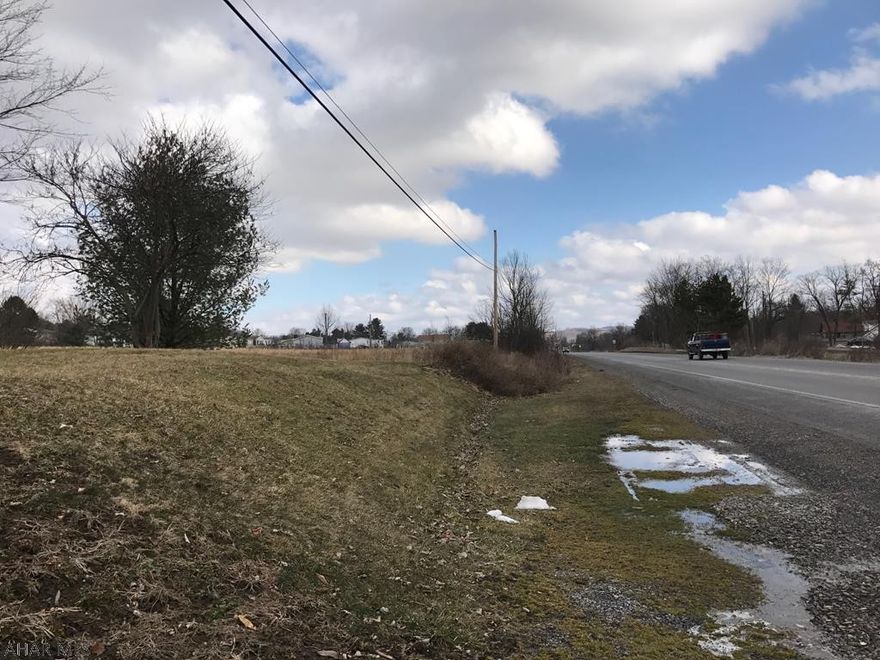 Vacant beside house listing 14981 Dunnings Highway. There is no zoning in Freedom Twp. This lot could be used for commercial with two access roads to the property. There is public sewer available. Well would have to be drilled. Please call listing agent with any questions.