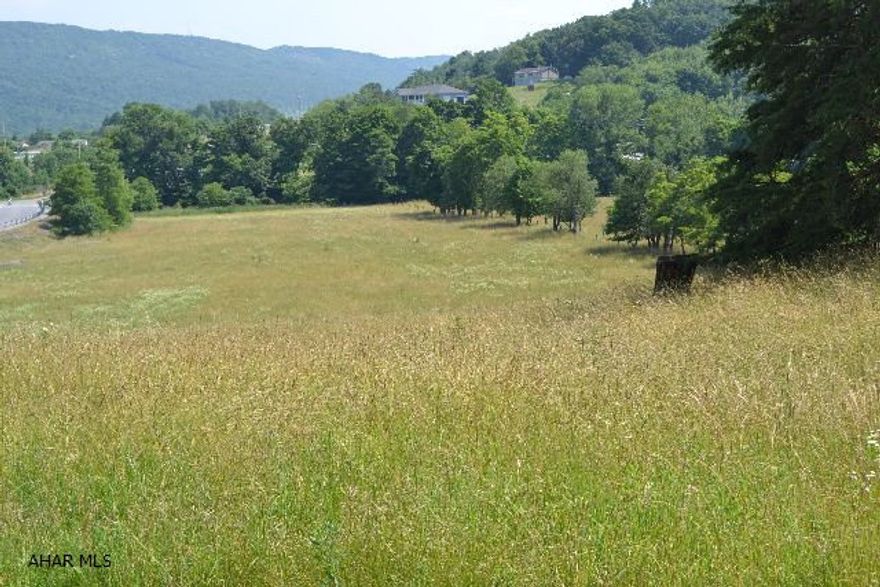 Versatile use of ground. 6.755 acres for building or commercial. Can be seen from I 99. Will need well and sand mound, possible connection for public sewer (may be expensive connection).