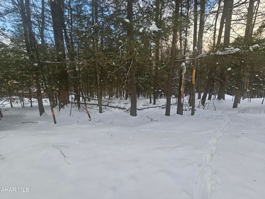 1 lot approximately 1/2 acre inside Glendale Yearound. Great site for cabin or house.  Gentle sloping lot with many trees. Water and sewer taps are paid. Electric, telephone, internet, and cable available. Glendale Yearound is a gated community located minutes from Glendale Lake and Prince Gallitzin State Park.