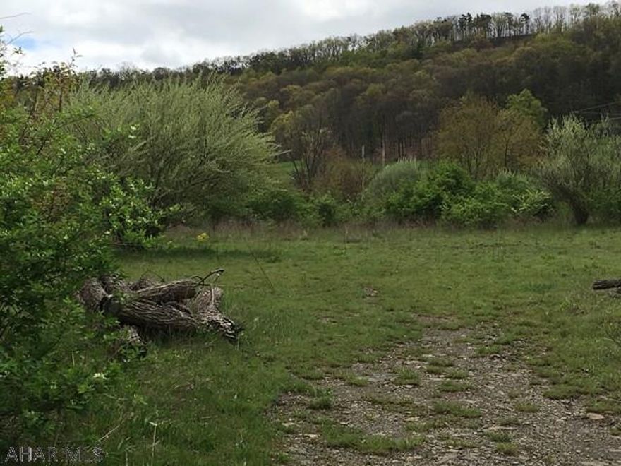 MOTIVATED SELLER!!!  Commercial or Residential building site for a New Home, Storage Units, Used Car Dealership, Fruit Market and much more.   You can access from Leydig Lane or K-line Dr.  City Sewer is available depending on where your building site is located on the property.  SEO will approve a septic system once it passes a perc test if its to far to tap on to the city sewer.   Centrally located near I-99 and Rt. 56. Quaker Valley Road.  There are approx. 6  acres of wetlands.  Approx. 2.5 acres not in Flood Zone shown on the Fema Map.