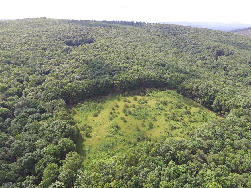 Southern Bedford County here we come! This is one piece of property that you do not want to miss looking at. The woodlands on this property are pristine. Full of large and small wildlife and the property borders the Buchanan State Forest...There is several beautiful spots for you to build a secluded, far away from everything home or getaway...The icing on the cake.....a beautiful pond for your enjoyment...there is a well and septic on the property with electric. Beautiful places with wide open spaces..