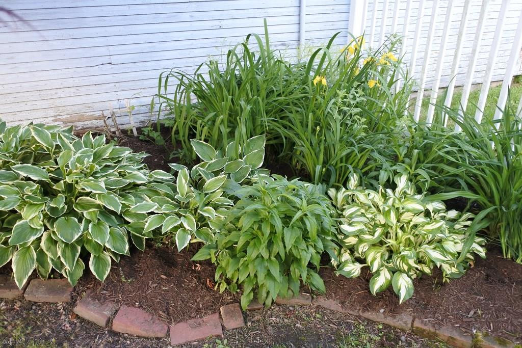 Hollidaysburg - Residential