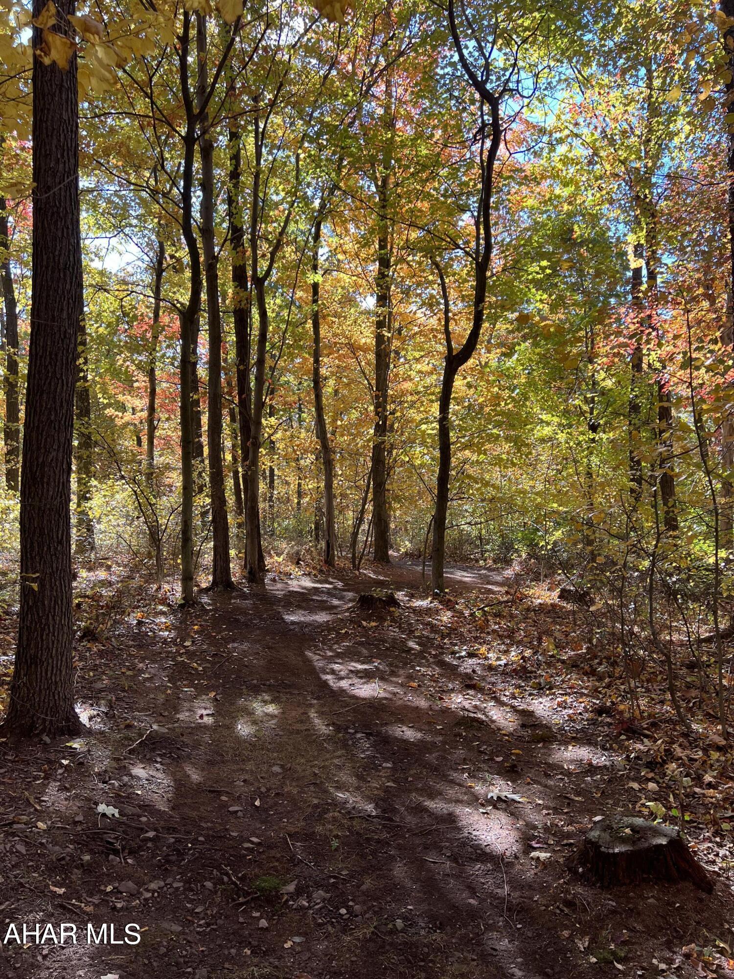 Spruce Hill Estates - Residential