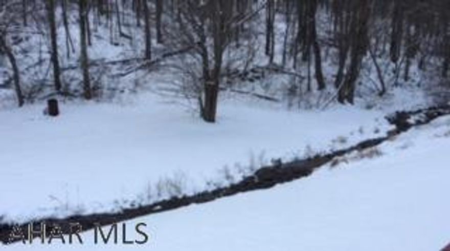 Nice hunting grounds - no utilities on this property but this parcel is adjacent to another 45 acres that is also for sale and has well, septic and electric. Owner is willing to sell property as one or separately. Survey of property completed in 1990.