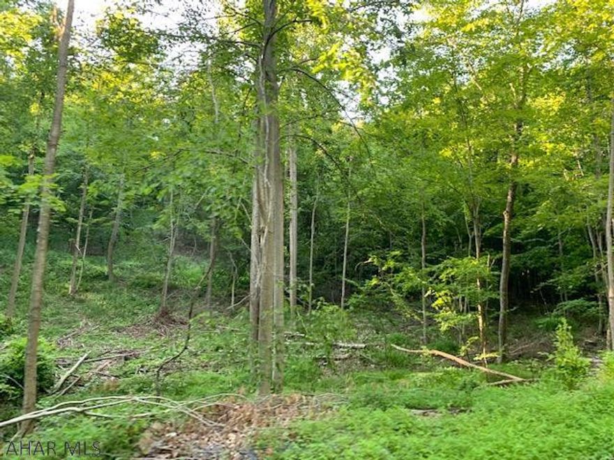 This property offers you excellent deer hunting, a great place for four-wheelers, with already built trails and roads. Close to Lake Raystown for your boating enjoyment. Just over the hill to the Juniata River for canoeing,kayaking and fishing. The biking tail is just moments away. For the outdoor enthusiast this is a perfect property. This property has been perc'd and has electric available.