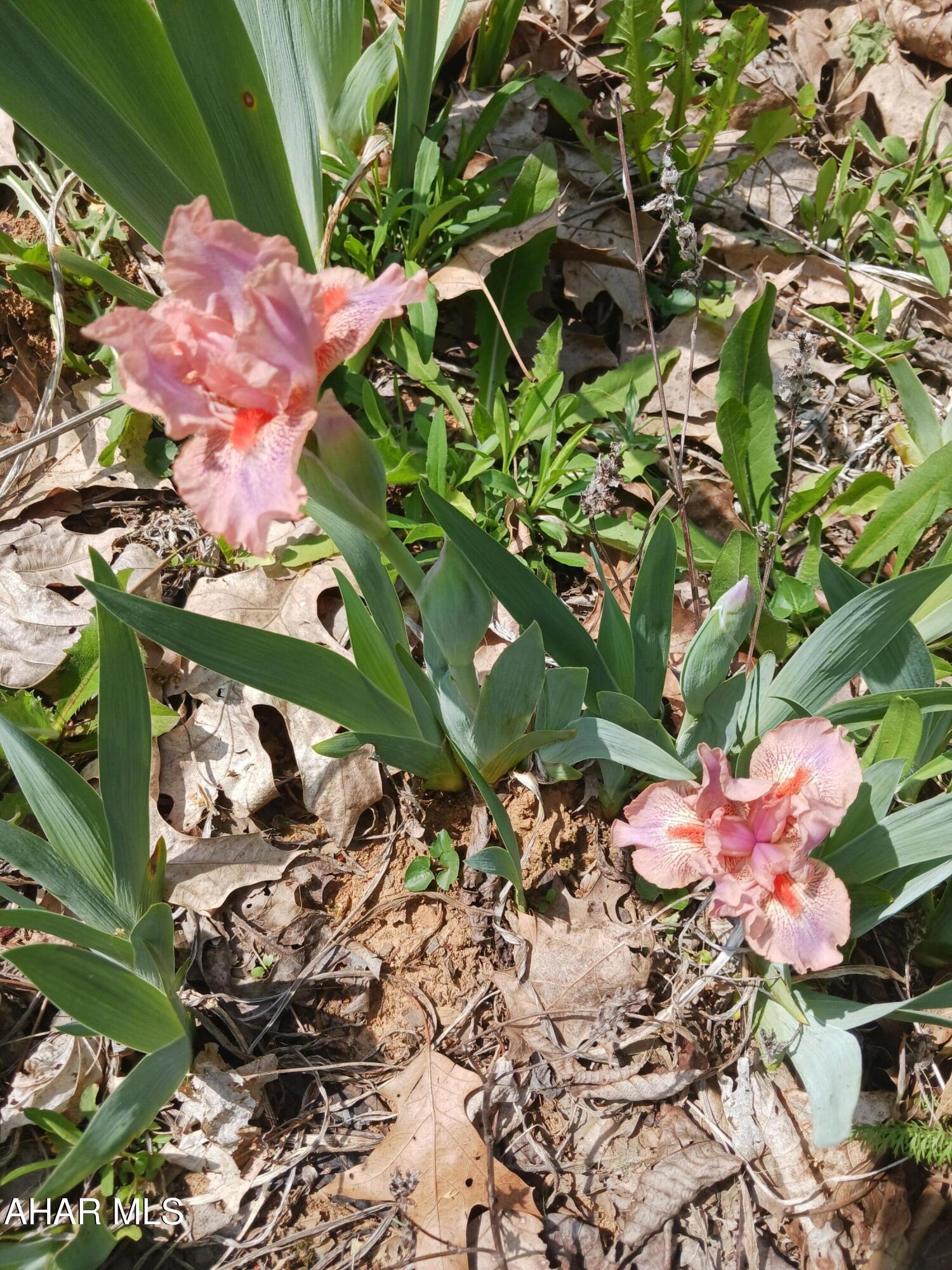 Catherine Township - Residential